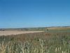 Boorowa outskirts